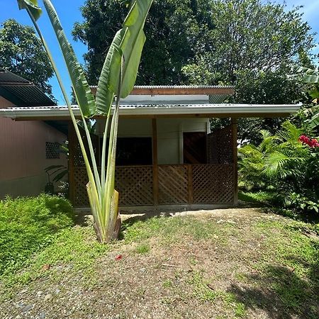 Ballena Oasis Homes Uvita Esterno foto